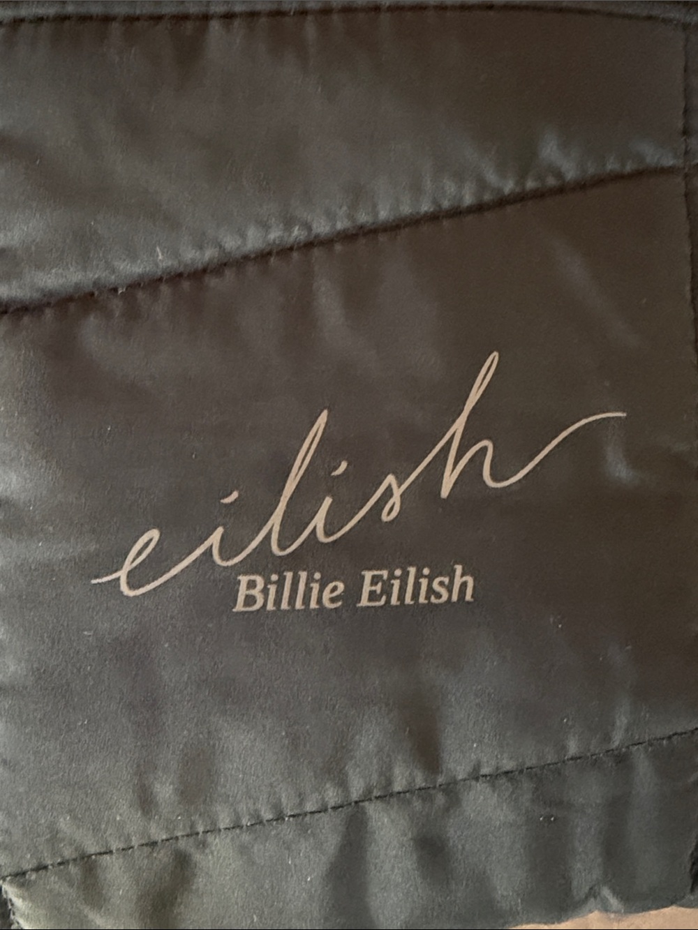 New Billie Eilish Black Quilted Nylon Zip Pouch - Picture 1 of 4